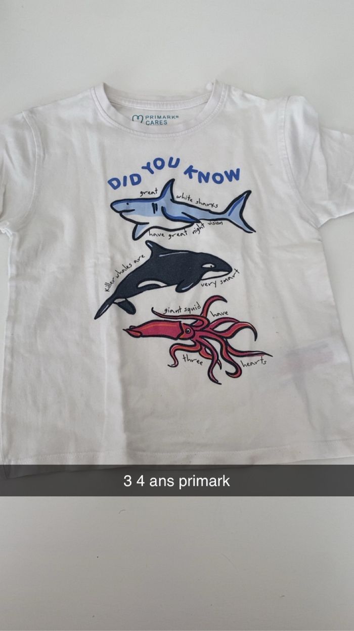 TEE shirt 3 4 ans primark