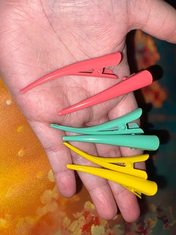 Lot de 6 pinces à cheveux 