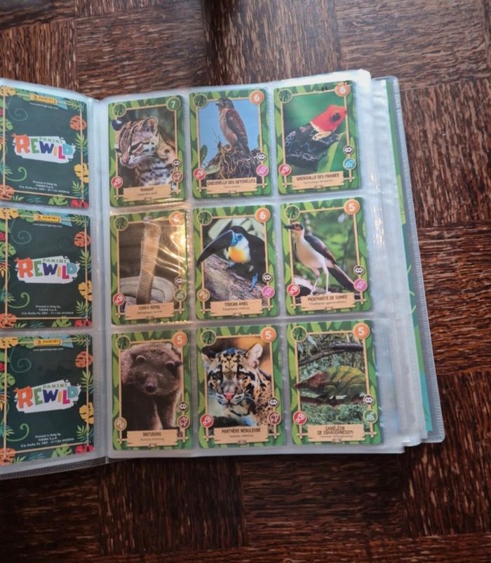Rewild panini - photo numéro 6