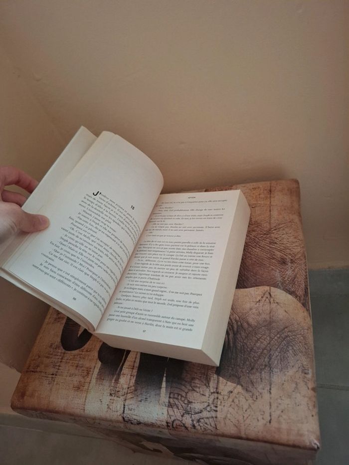 Livre after - photo numéro 3