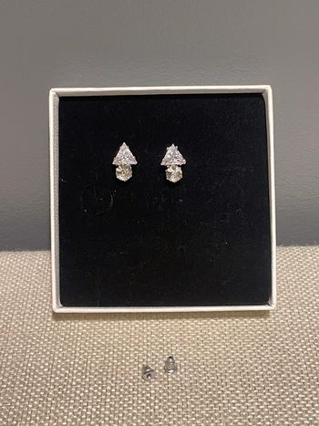Puces d'oreille