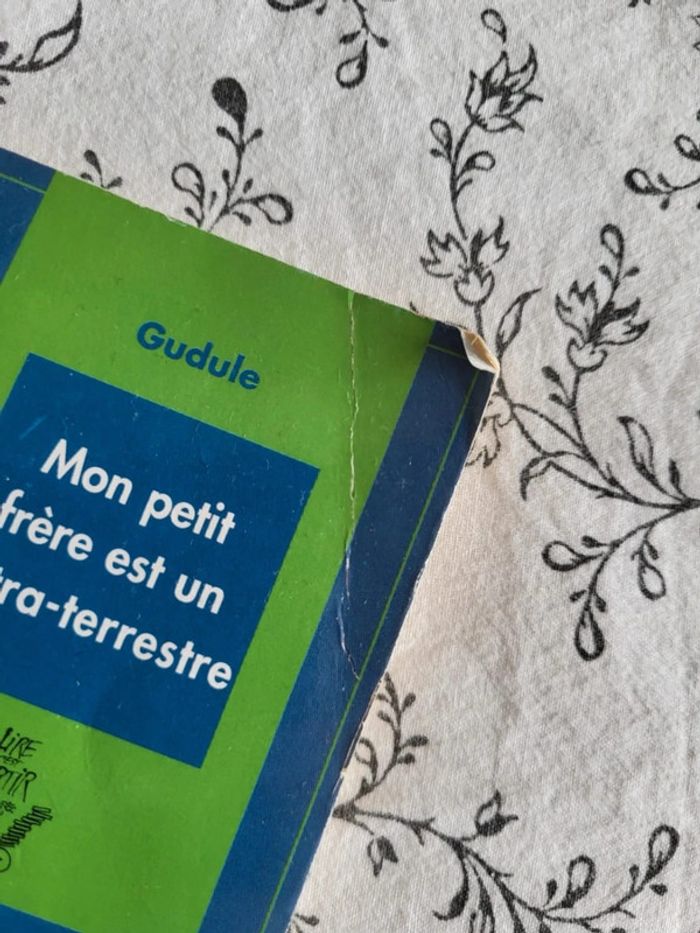 Livre Mon petit frère est un extra-terrestre- poche - photo numéro 3