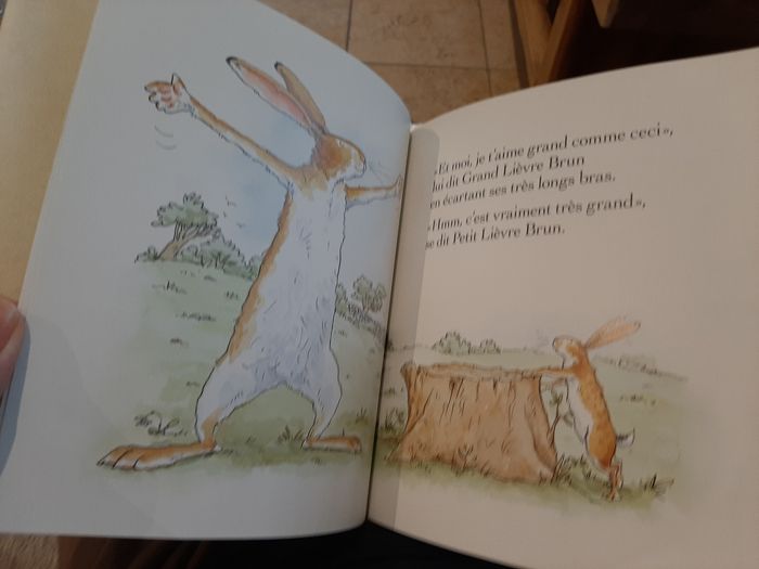 Livre  "Devine combien je t'aime" - photo numéro 4
