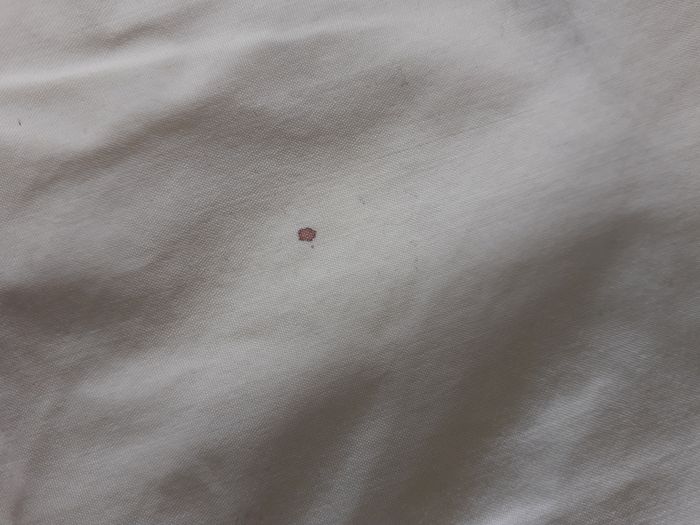 Short - photo numéro 2