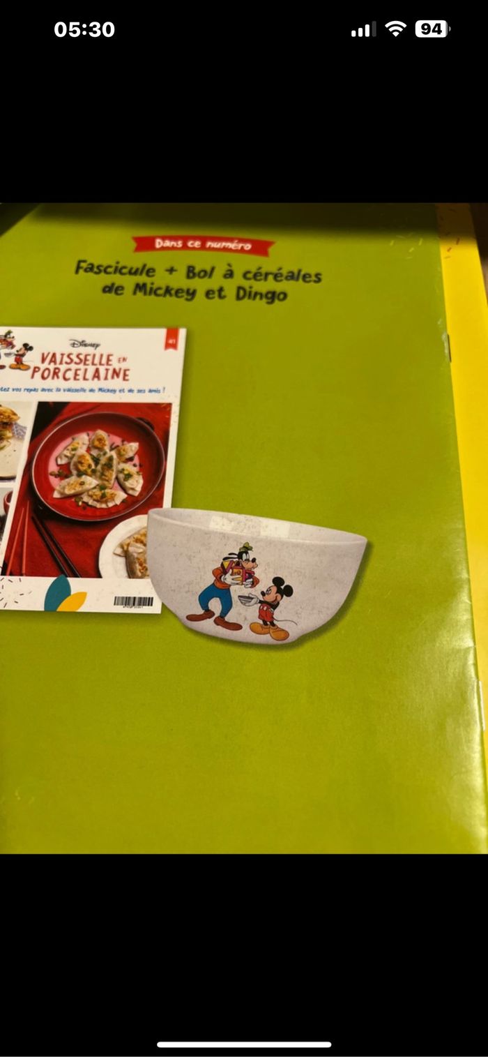 Bols porcelaine - photo numéro 4