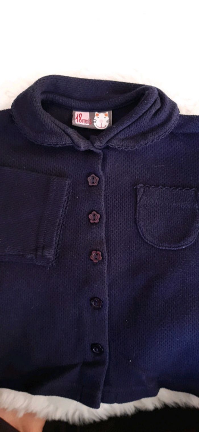 Ensemble short gilet du pareil au même 18 mois - photo numéro 5