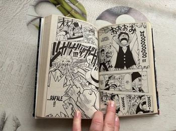 Livre Once Piece - photo numéro 3