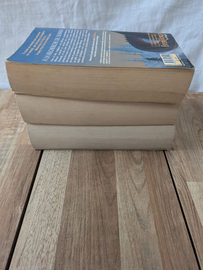 Lot livres Everworld - photo numéro 13