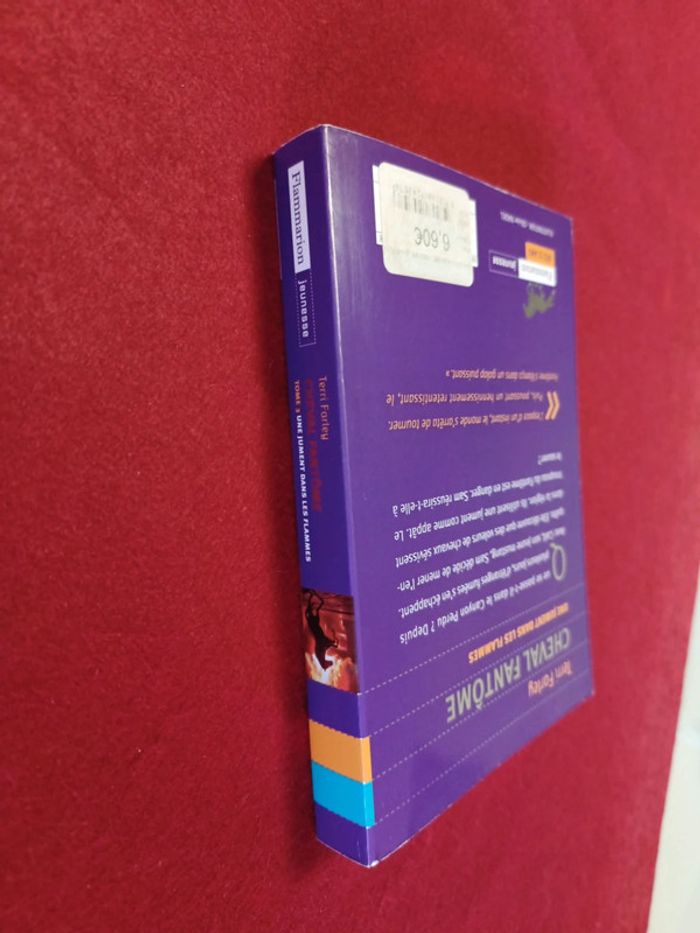 Cheval fantôme Tome 3 " Une jument dans les flammes " Terri Farley - photo numéro 17