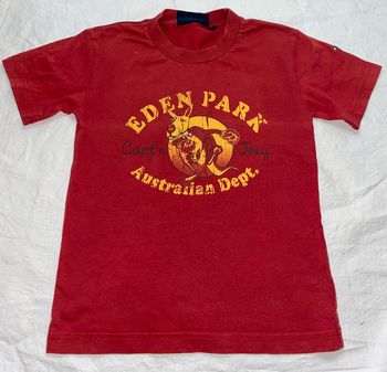 tshirt Eden Park porté, un petit trou recousu 6 ans