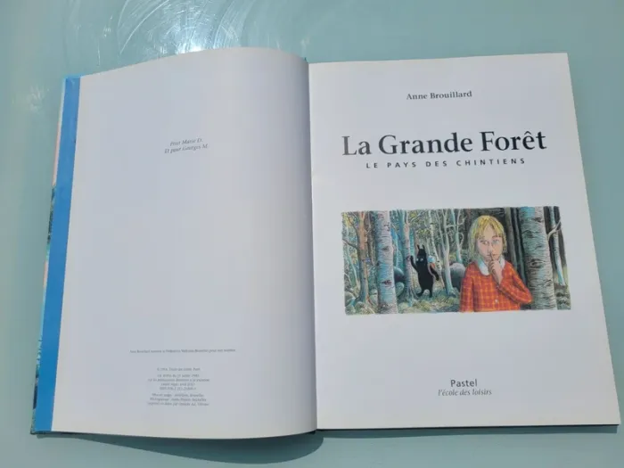 Livre couverture rigide, grand format, l'école des loisirs, La Grande Forêt, le pays des Chintiens - photo numéro 4