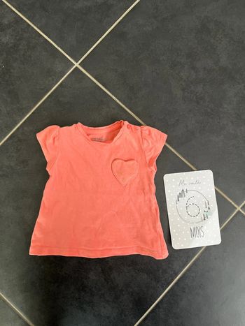 Tee shirt manches courtes