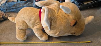 Peluche dinosaure rhinocéros