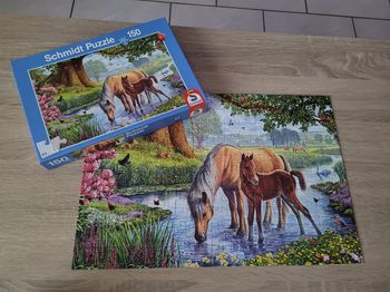 Puzzle de chevaux