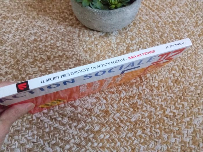 Maxi Fiches Le secret professionnel en action sociale - photo numéro 2