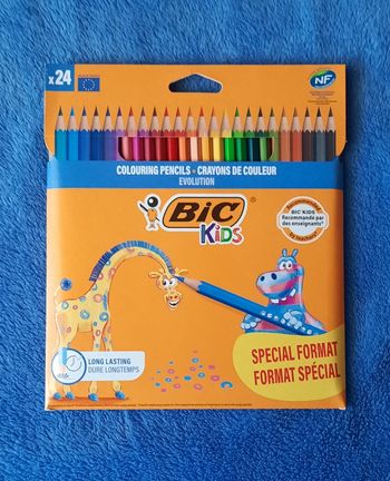 Crayons bic (24)