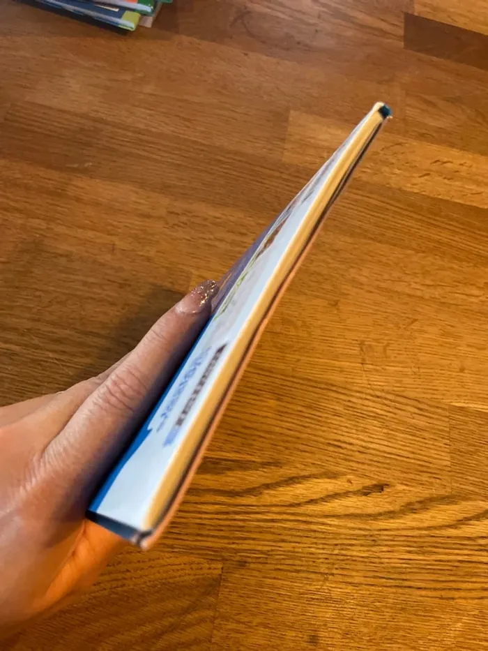 Livre premières lectures Les animaux de Lou sauve-toi Petit Tigre ! - photo numéro 6