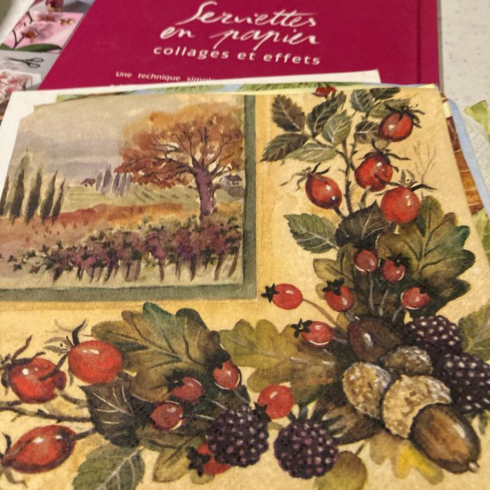Livre serviettes en papier collages et effets avec serviettes en papiers - photo numéro 10