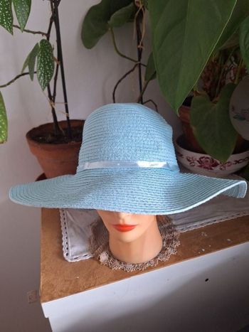 Chapeau capeline