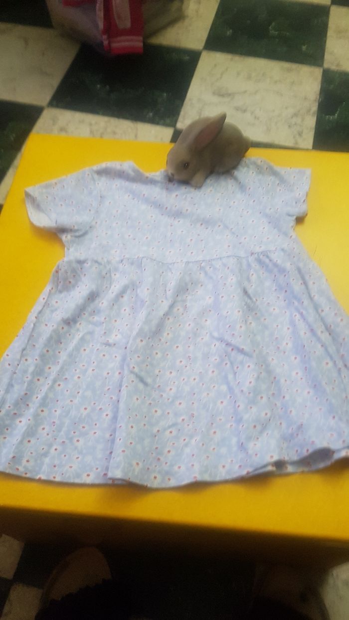 Robe bébé fille - photo numéro 2
