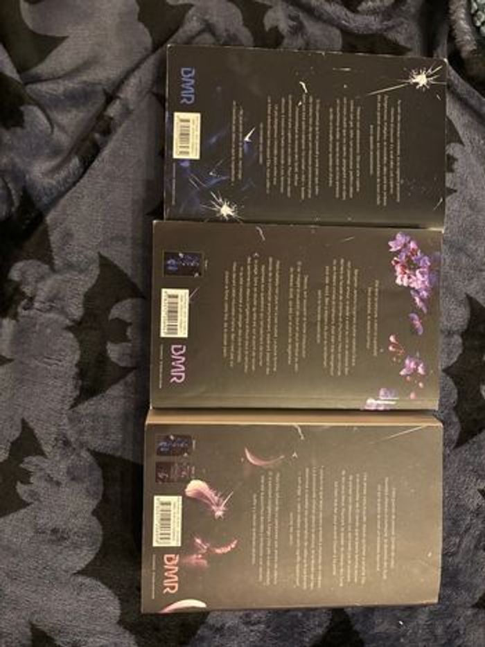 Livres dark romance - photo numéro 2