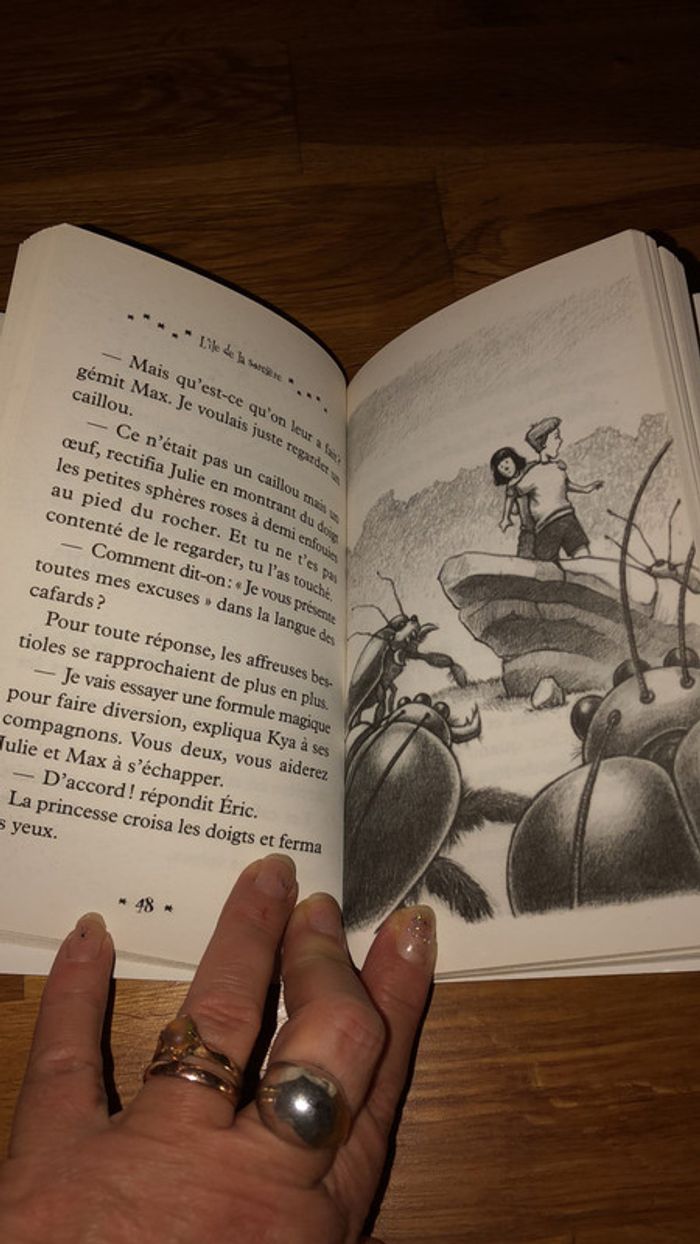 Fabuleux ce livre Le monde de Droon l'île de la sorcière - photo numéro 3