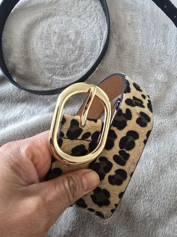 Ceinture