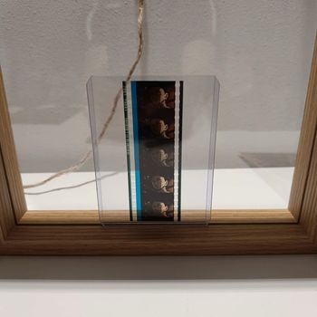 Pellicule démon slayer yushiro