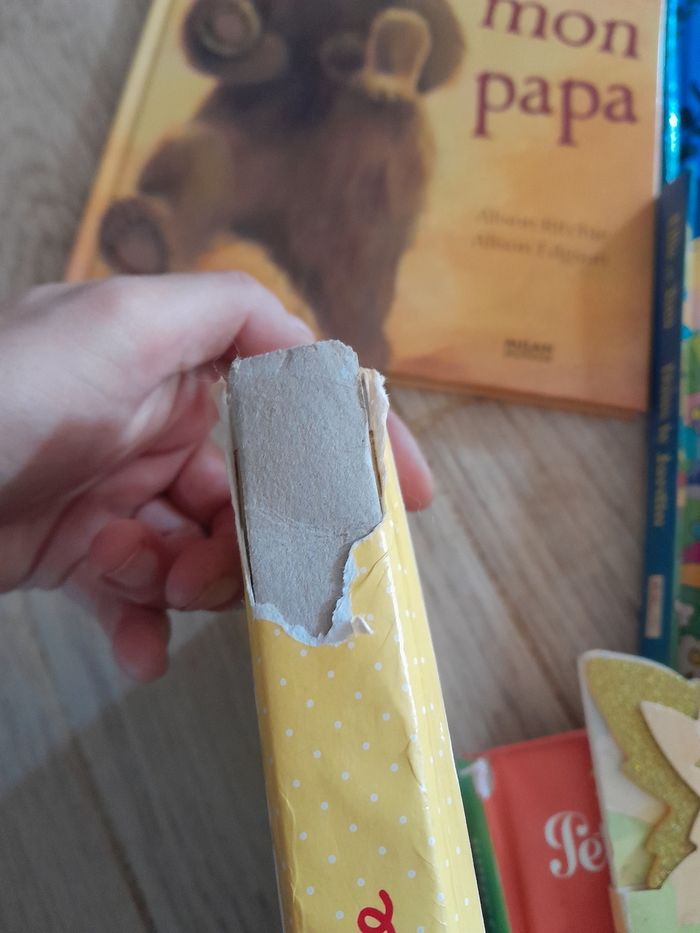livres enfants - photo numéro 7
