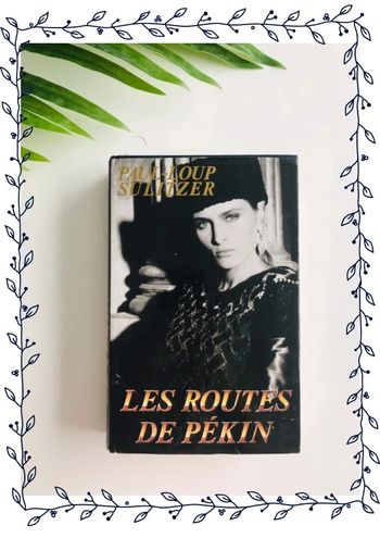 Les routes de pekin paul loup sulitzer