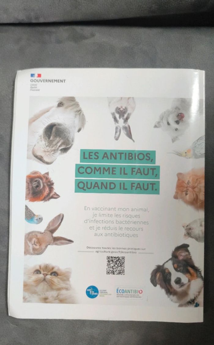 Magazine spécial chiens numéro 55 trimestriel - photo numéro 2