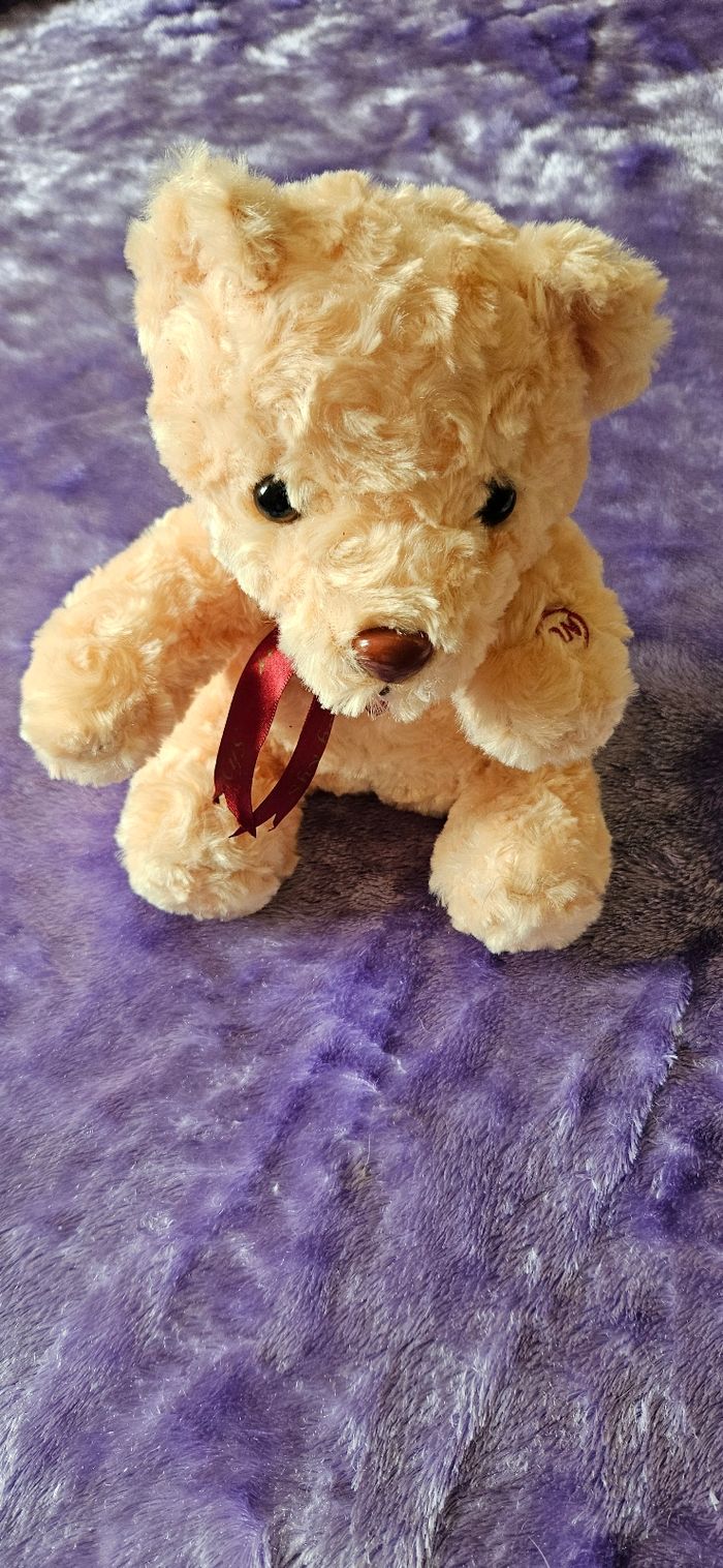 Peluche lumineuse personnalisé - photo numéro 5