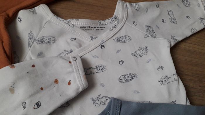 Lot de 4 bodies - 1 mois - photo numéro 4