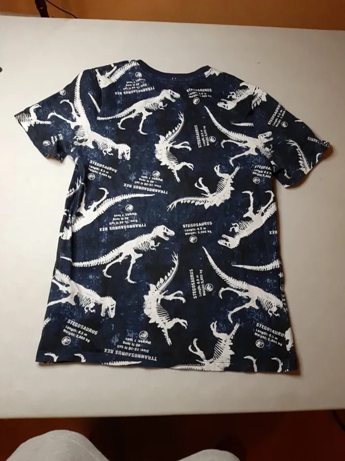 Tshirt dinosaures - photo numéro 4
