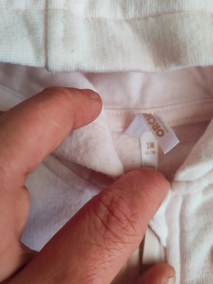 Veste - photo numéro 4