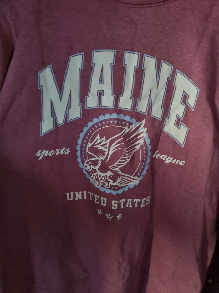 Sweat rose avec écriture 14-15ans - photo numéro 2