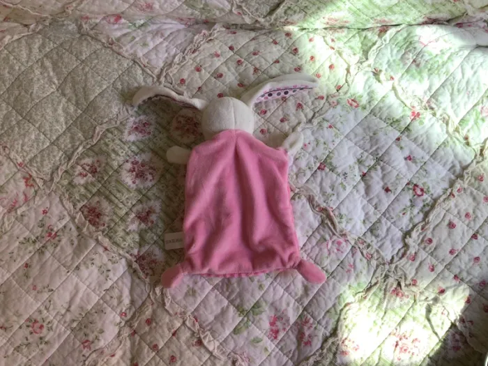 Doudou - photo numéro 2