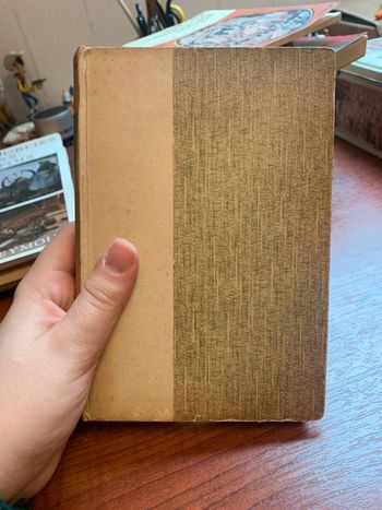 Livre Ramuntcho Pierre Loti