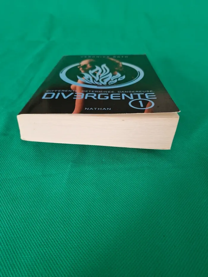 Divergente Tome 1 Veronica Roth - photo numéro 2