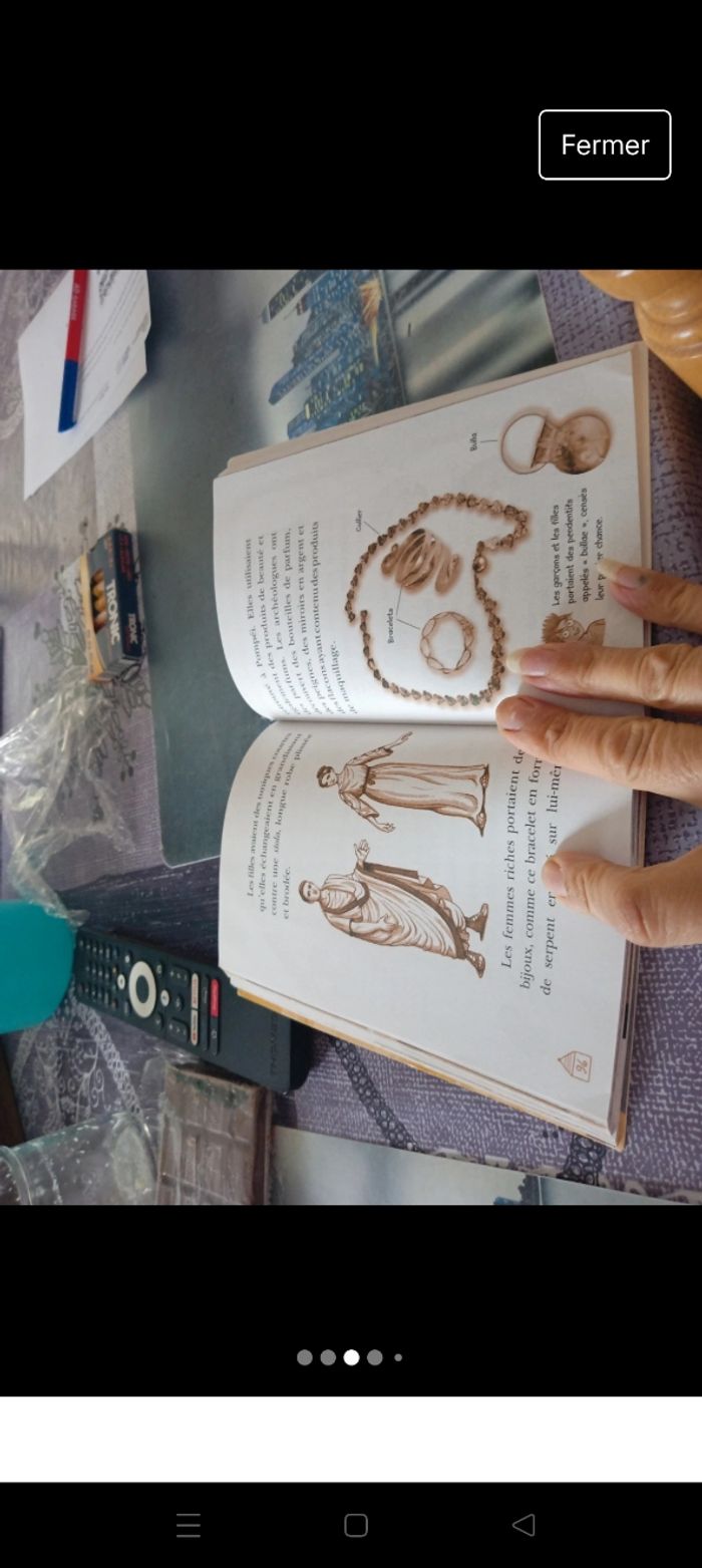 Les carnets de la cabane magique 8 - photo numéro 3