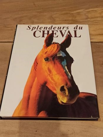 Splendeurs du cheval