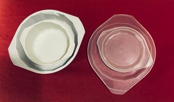 Lot de 2 plats avec couvercles