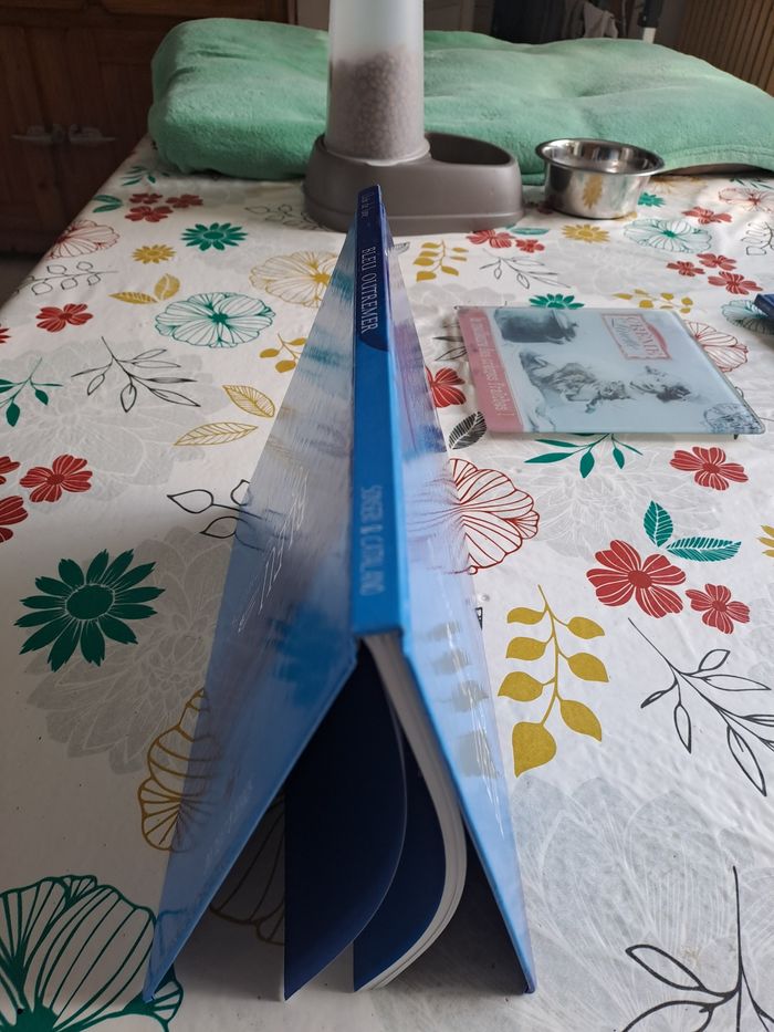 Bleu outremer - photo numéro 5