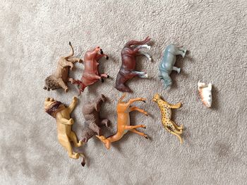 Animaux en plastique