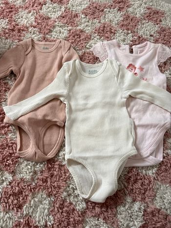Lot 3 bodies