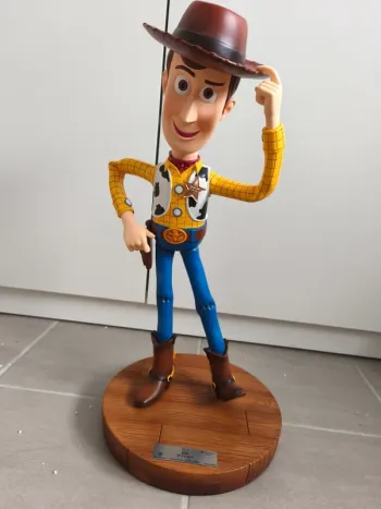 Woody Mastercraft - Disney Toy Story
