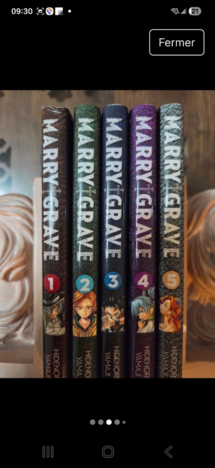 Collection comptete T1 à T5. Mary GRAVE - photo numéro 3