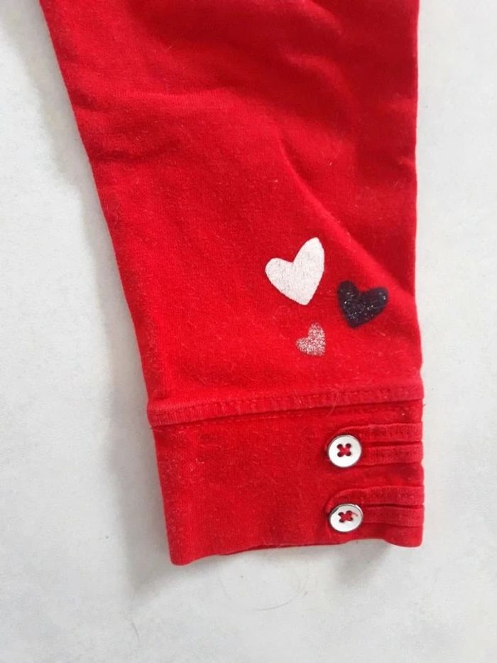 Ensemble dalmatiens - photo numéro 3