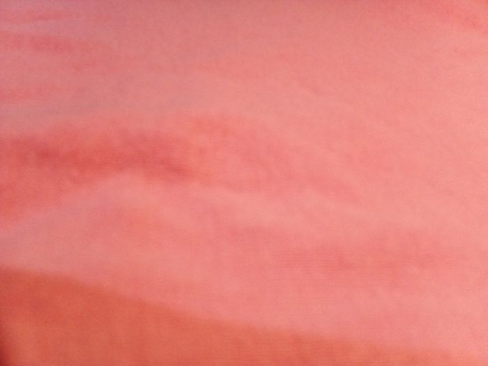 Bodies à manches courtes - photo numéro 3