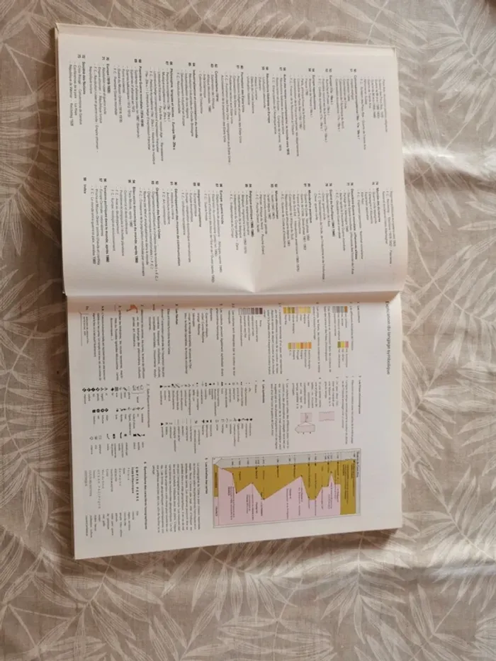 Livre atlas vintage - photo numéro 2